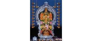 சங்கரன்கோயில் - தமிழ்நாடு